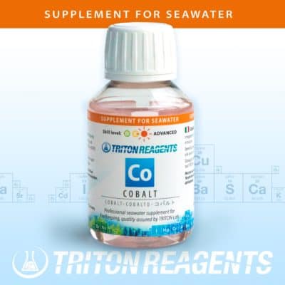 TRACE BASE COBALT