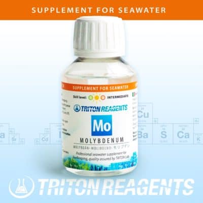 TRACE BASE MOLYBDENUM
