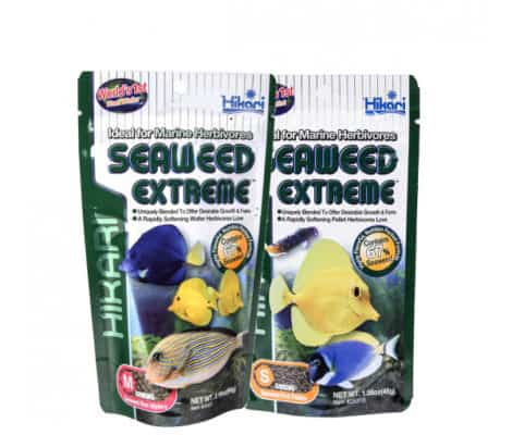 SEAWEED EXTREME FISH FOOD
