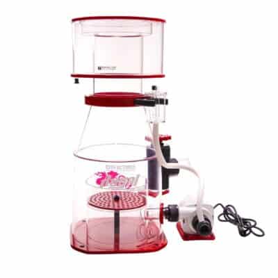 Regal 250INT 10 Internal Protein Skimmer (VarioS) - Reef Octopus