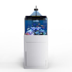 Aquarium Rubi - 65 Gallons
