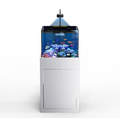 Aquarium Rubi - 65 Gallons