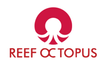 Reef Octopus