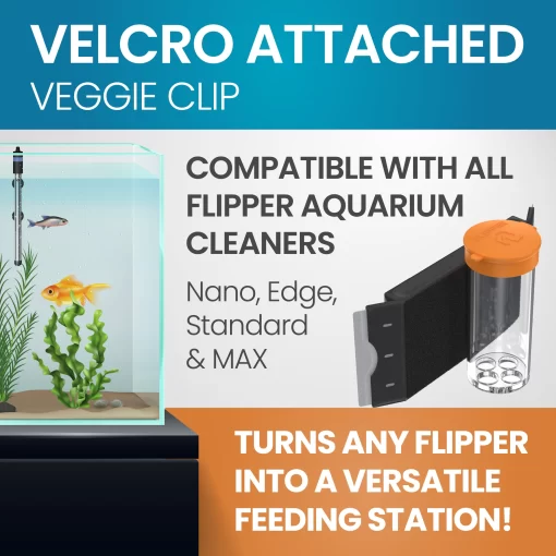 Flipper Feed Aquarium Feeding Kit for Flipper Cleaners - Image 4