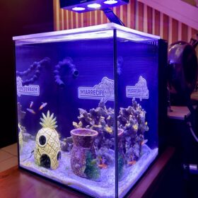 MATRIX NANO Cube Aquarium (20 Gal)
