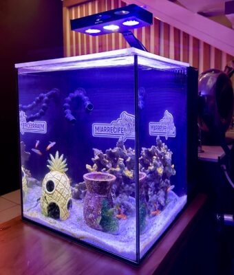 MATRIX NANO Cube Aquarium (20 Gal)