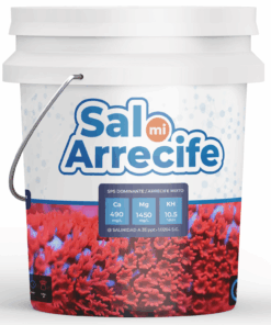 Sal Mi Arrecife - Mi Arrecife