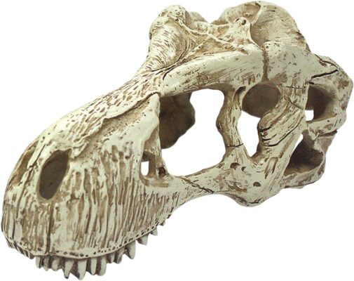 T-Rex Skull Ornament Decoration for Aquariums